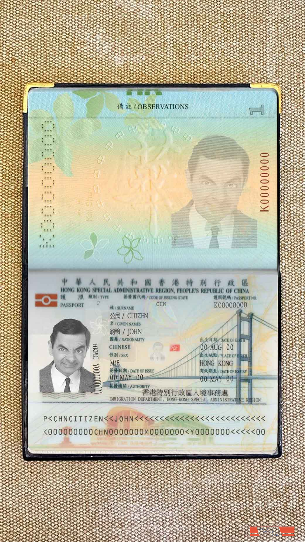 Hong Kong pass photo look PSD template